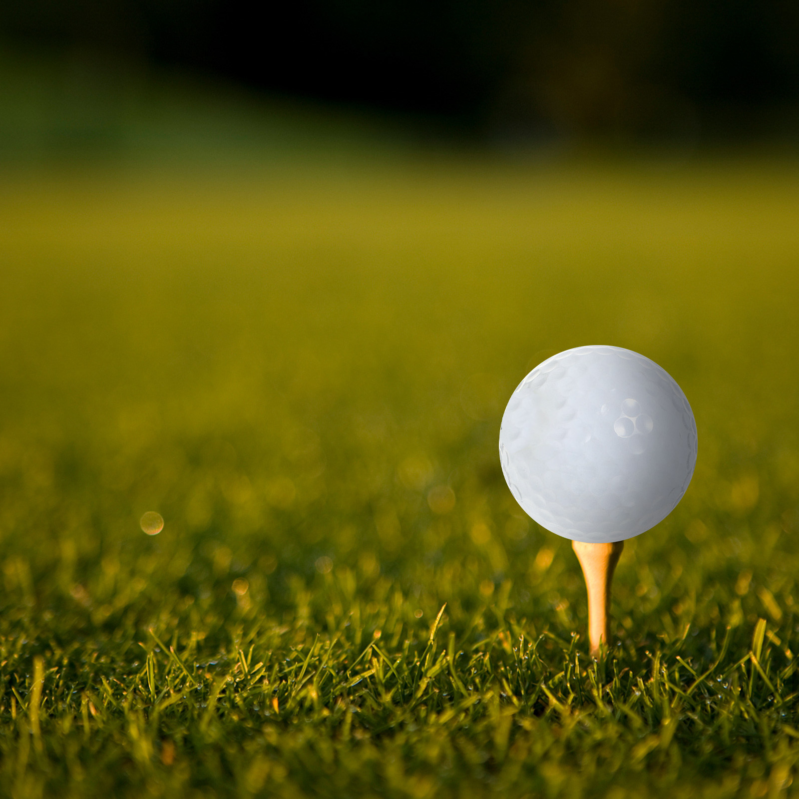 Indoor oefengolfballen Uitrust - Golf Equipment Beginners recensie en prijs
