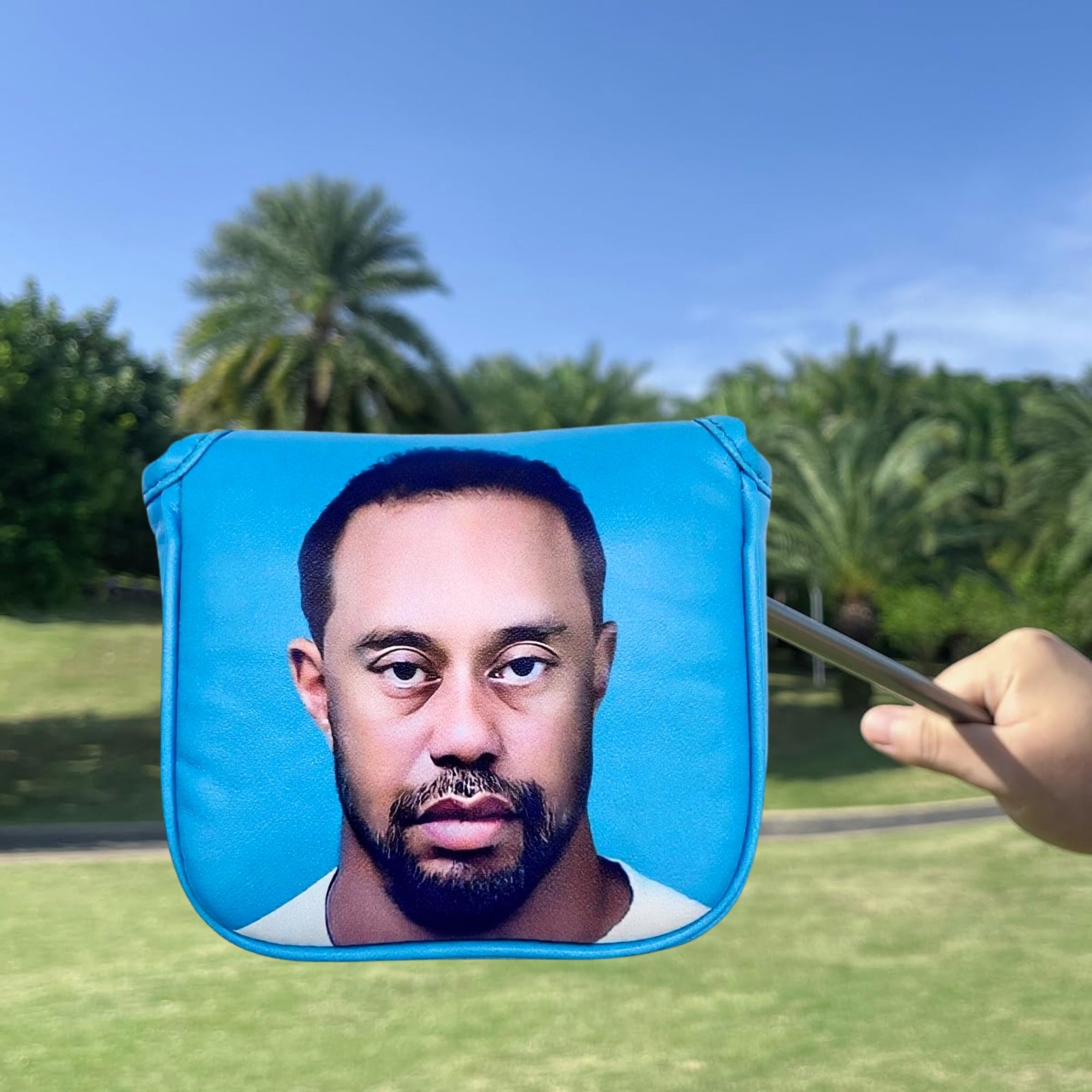 Grappige Golf Mallet Putter He - Golf Equipment And Accessories recensie en prijs